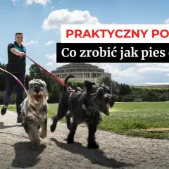 Para biegnie z dwoma psami na smyczach. Praktyczny poradnik: jak nauczyć psa chodzić na smyczy, gdy ciągnie?