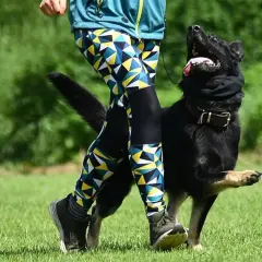 Trening psa, jak nauczyć psa chodzenia przy nodze. Pies i osoba w kolorowych legginsach na trawie.