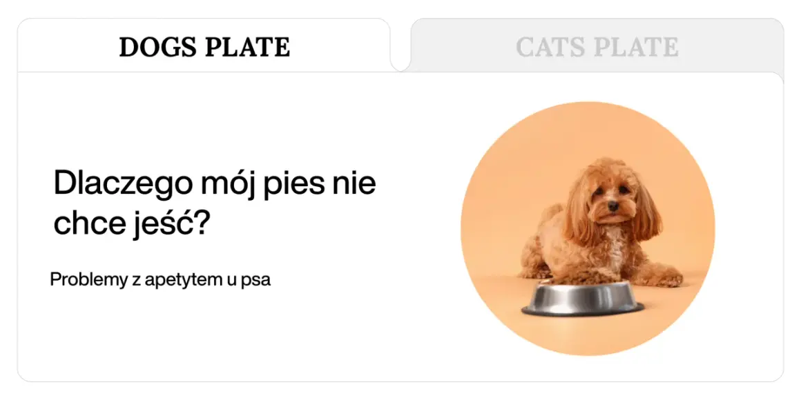 Uroczy piesek leży obok miski z karmą, ale wygląda na to, że mój pies nie chce jeść.