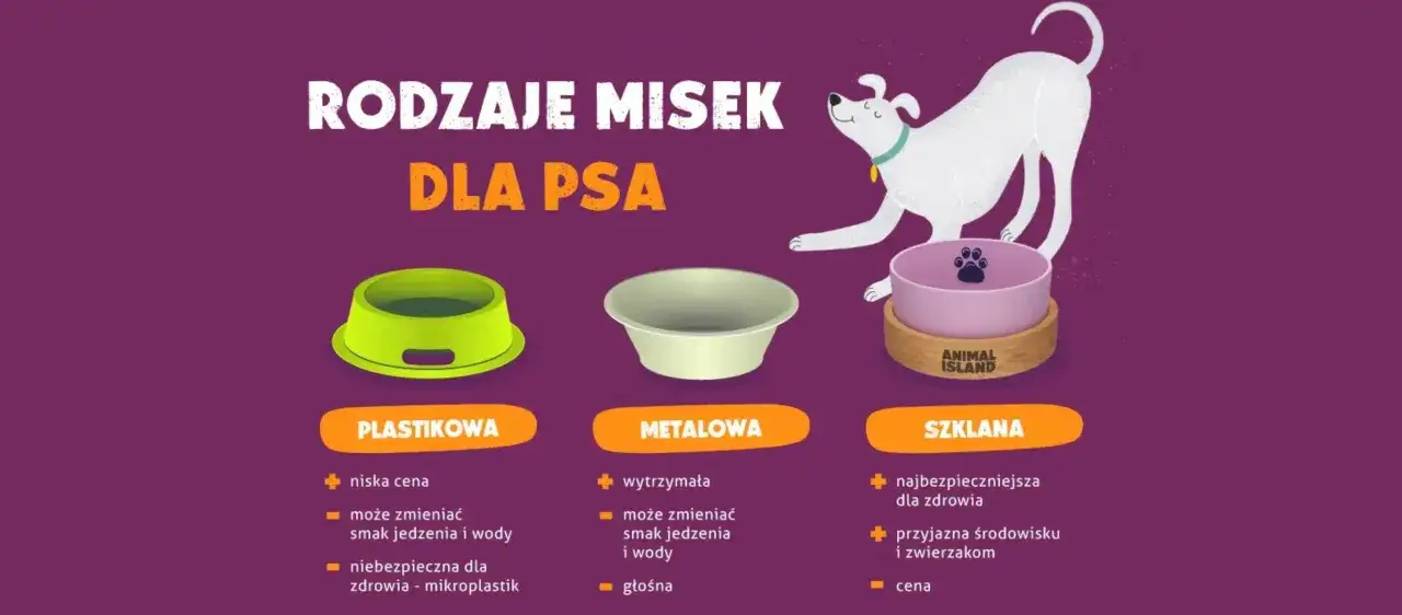 Jaka miska dla psa? Por&oacute;wnanie misek plastikowych, metalowych i szklanych. Biały piesek przygląda się opcjom.