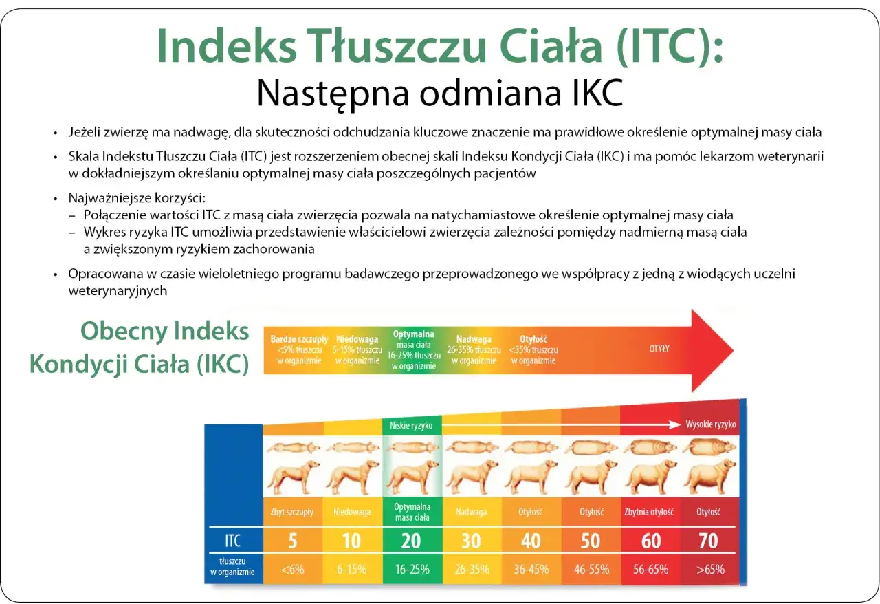 Skala ITC pomaga określić, jak odchudzić psa, pokazując zależność między masą ciała a ryzykiem chor&oacute;b.