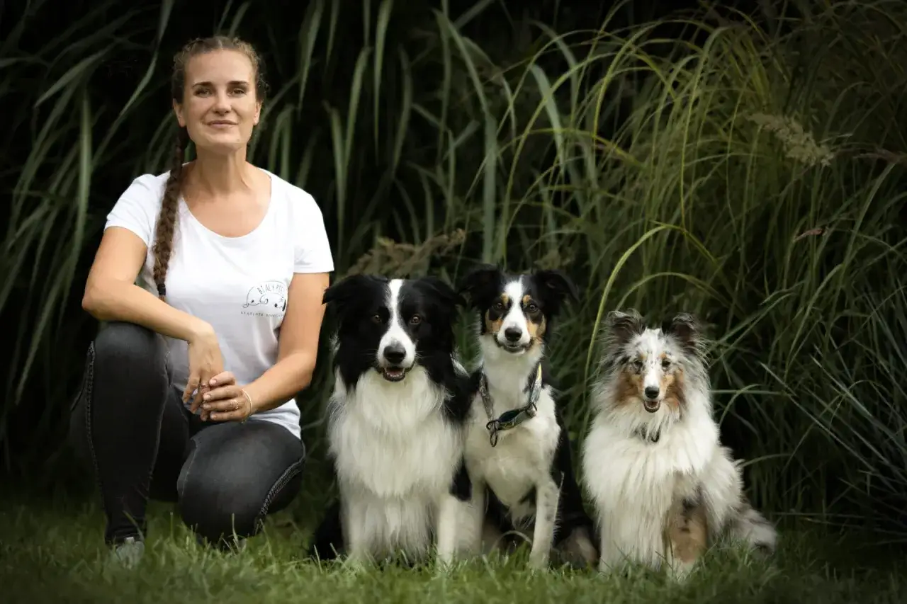 Kobieta z trzema psami, przygotowująca się do szkolenia psa do dogoterapii.