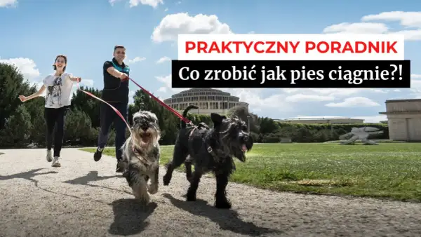 Para biegnie z dwoma psami na smyczach. Praktyczny poradnik: jak nauczyć psa chodzić na smyczy, gdy ciągnie?