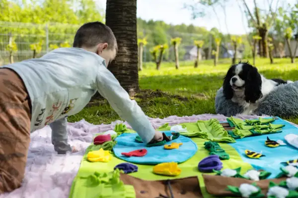 Chłopiec bawi się z psem na macie edukacyjnej. Rozważasz szkolenie psa do dogoterapii? Cena może być różna.